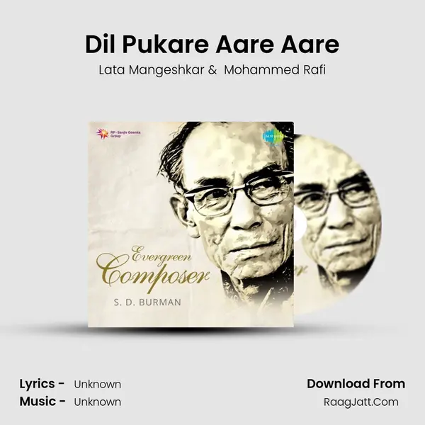 Dil Pukare Aare Aare Cover