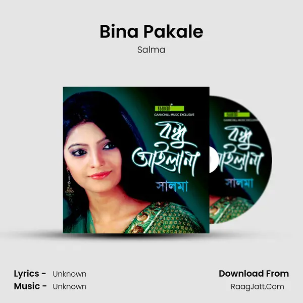 Bina Pakale MP3 Song by Salma Cover