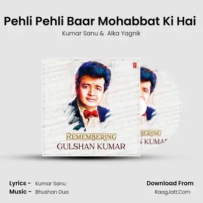 Pehli Pehli Baar Mohabbat Ki Hai (From Sirf Tum) MP3 Song by Kumar Sanu Cover