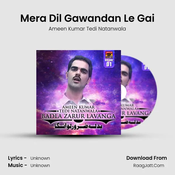 Mera Dil Gawandan Le Gai mp3 song