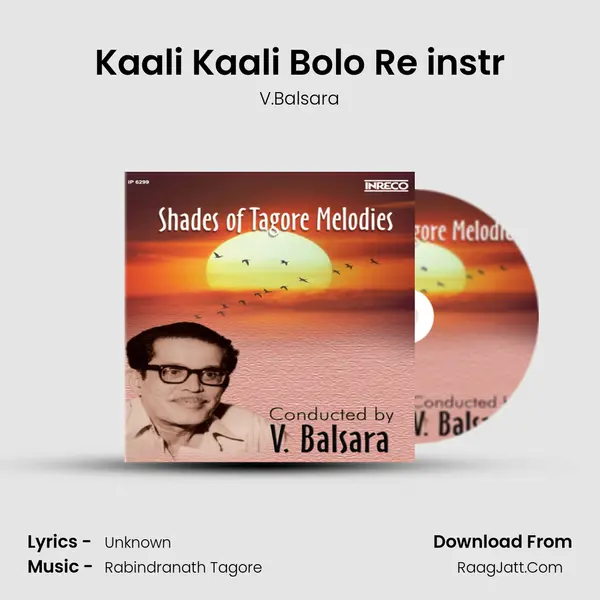 Kaali Kaali Bolo Re instr MP3 Song by V.Balsara Cover