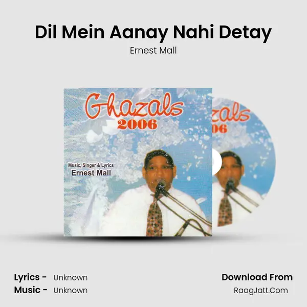 Dil Mein Aanay Nahi Detay MP3 Song by Ernest Mall Cover