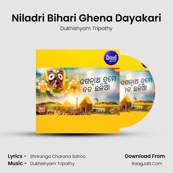 Niladri Bihari Ghena Dayakari MP3 Song by Dukhishyam Tripathy Cover