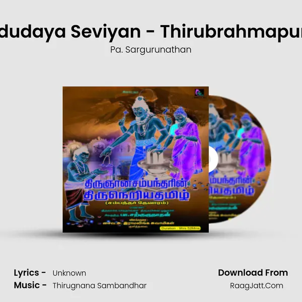 Thodudaya Seviyan - Thirubrahmapuram MP3 Song by Pa. Sargurunathan Cover