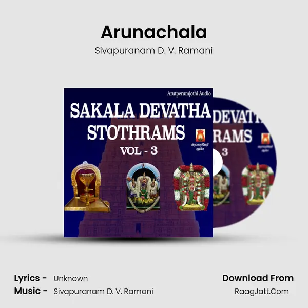 Arunachala MP3 Song by Sivapuranam D. V. Ramani Cover