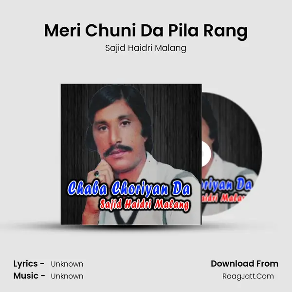 Meri Chuni Da Pila Rang mp3 song