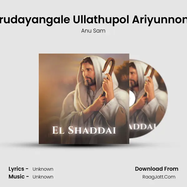 Hrudayangale Ullathupol Ariyunnone MP3 Song by Anu Sam Cover