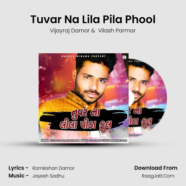 Tuvar Na Lila Pila Phool mp3 song