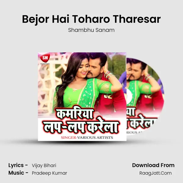 Bejor Hai Toharo Tharesar MP3 Song by Shambhu Sanam Cover