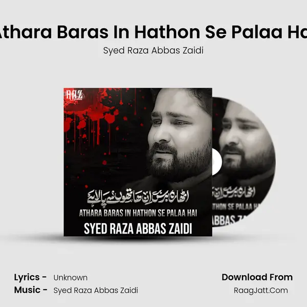 Athara Baras In Hathon Se Palaa Hai mp3 song