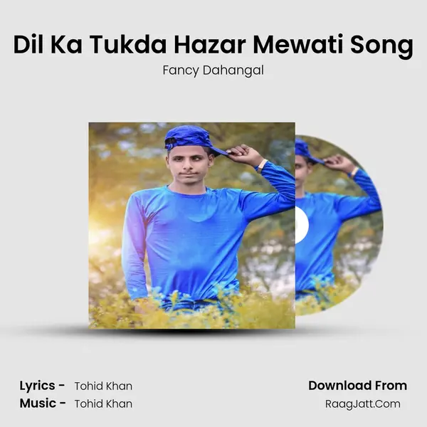 Dil Ka Tukda Hazar Mewati Song mp3 song