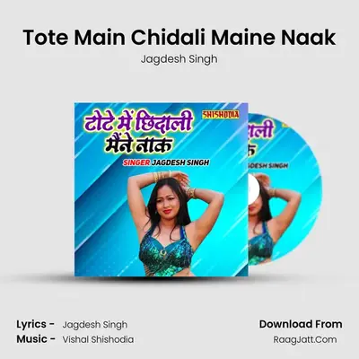Tote Main Chidali Maine Naak mp3 song