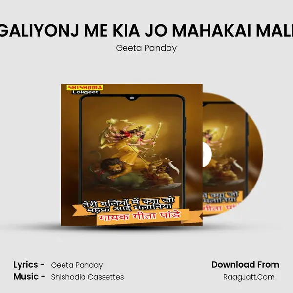 TERI GALIYONJ ME KIA JO MAHAKAI MALINIYA MP3 Song by Geeta Panday Cover