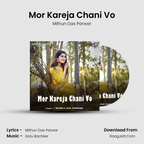 Mor Kareja Chani Vo MP3 Song by Mithun Das Parwar Cover