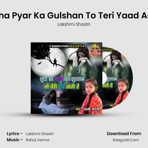 Luta Tha Pyar Ka Gulshan To Teri Yaad Aati Hai mp3 song