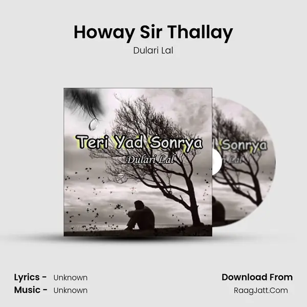 Howay Sir Thallay MP3 Song by Dulari Lal Cover