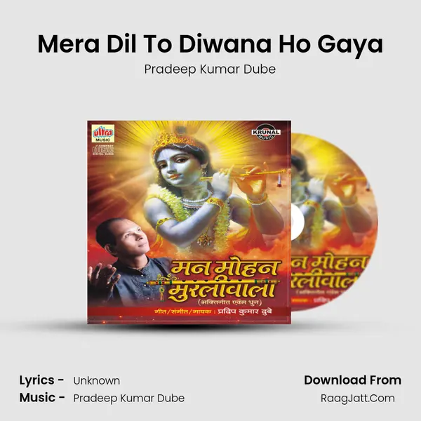 Mera Dil To Diwana Ho Gaya mp3 song