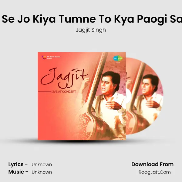 Pyar Mujh Se Jo Kiya Tumne To Kya Paogi Saath Saath MP3 Song by Jagjit Singh Cover