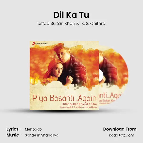 Dil Ka Tu MP3 Song by Ustad Sultan Khan Cover