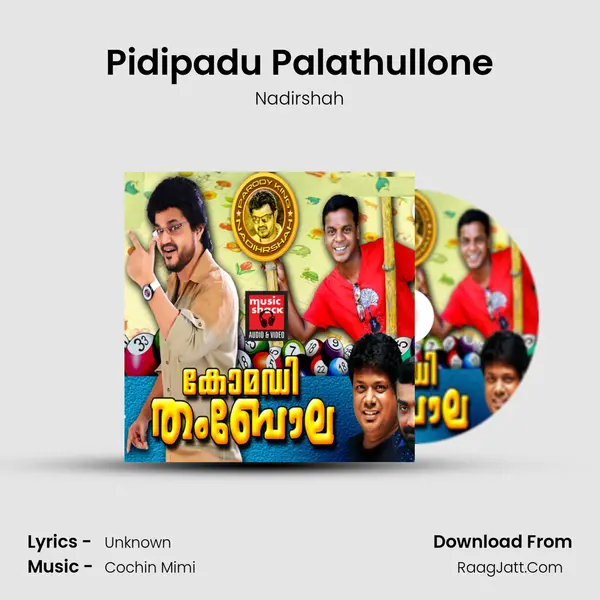 Pidipadu Palathullone MP3 Song by Nadirshah Cover