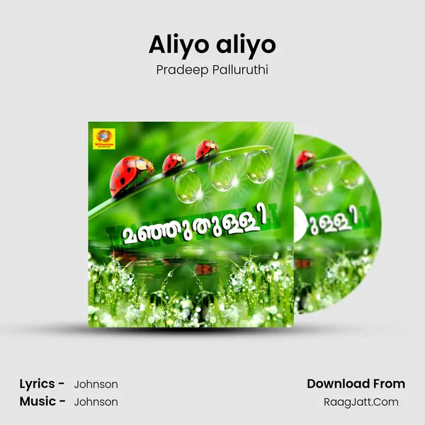 Aliyo aliyo MP3 Song by Pradeep Palluruthi Cover