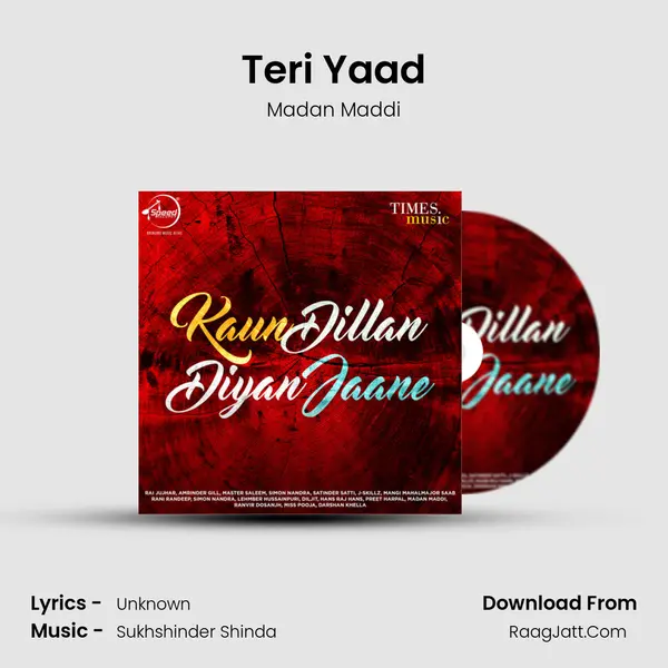 Teri Yaad Cover