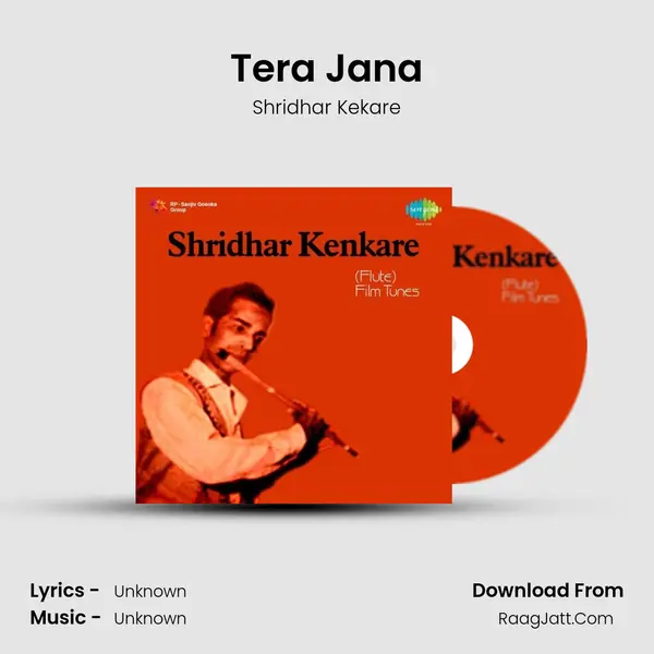 Tera Jana MP3 Song by Shridhar Kekare Cover