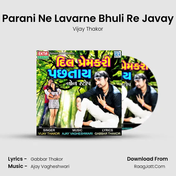 Parani Ne Lavarne Bhuli Re Javay MP3 Song by Vijay Thakor Cover