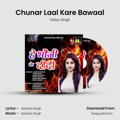 Chunar Laal Kare Bawaal MP3 Song by Vidya Singh Cover