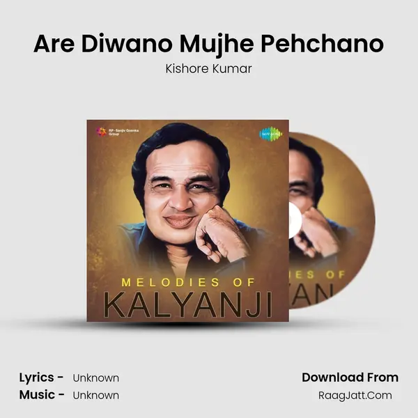 Are Diwano Mujhe Pehchano Cover