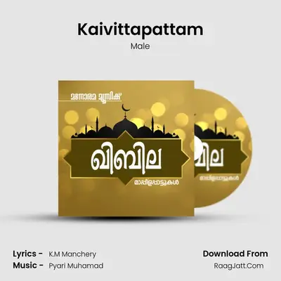 Kaivittapattam MP3 Song by Male Cover