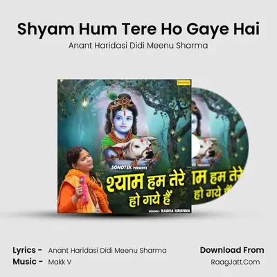 Shyam Hum Tere Ho Gaye Hai mp3 song