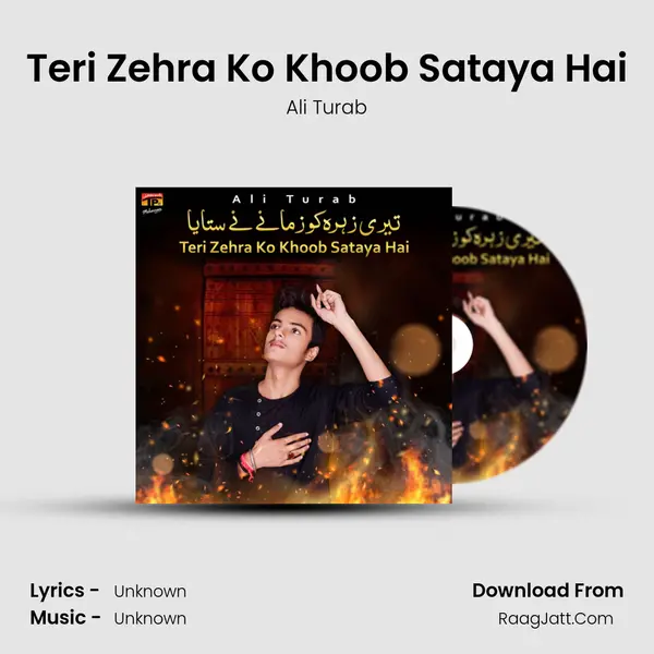 Teri Zehra Ko Khoob Sataya Hai - Single - Ali Turab