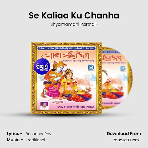 Se Kaliaa Ku Chanha MP3 Song by Shyamamani Pattnaik Cover