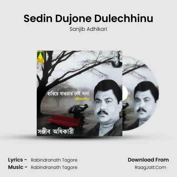 Sedin Dujone Dulechhinu MP3 Song by Sanjib Adhikari Cover