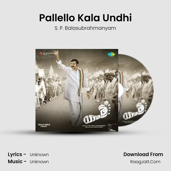 Pallello Kala Undhi MP3 Song by S. P. Balasubrahmanyam Cover