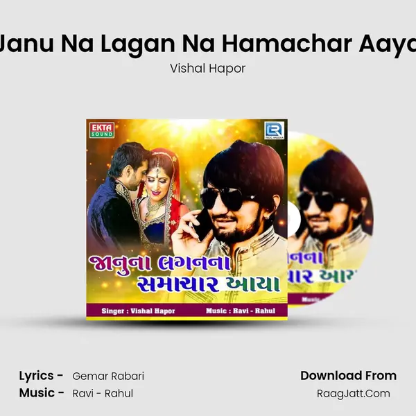 Janu Na Lagan Na Hamachar Aaya MP3 Song by Vishal Hapor Cover