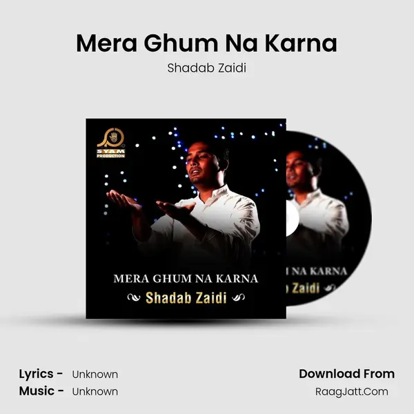 Mera Ghum Na Karna - Single - Shadab Zaidi