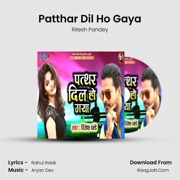 Patthar Dil Ho Gaya - Ritesh Pandey