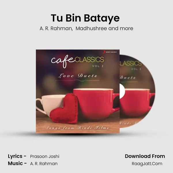 Tu Bin Bataye (From "Rang De Basanti") Cover