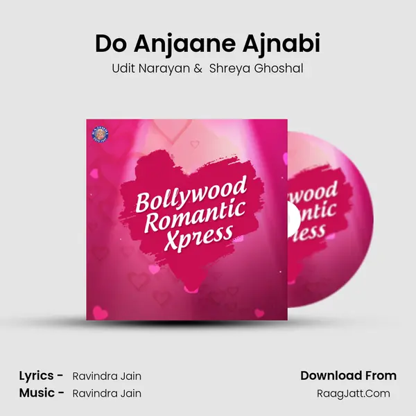 Do Anjaane Ajnabi Cover
