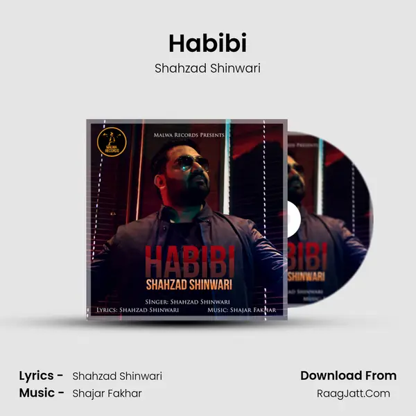 Habibi MP3 Song by Shahzad Shinwari Cover