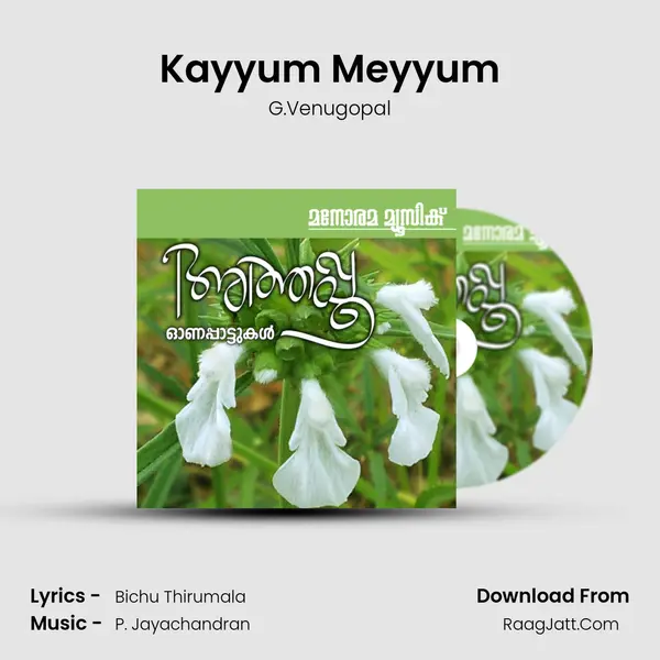 Kayyum Meyyum Cover
