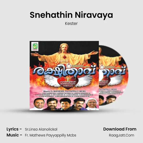 Snehathin Niravaya mp3 song