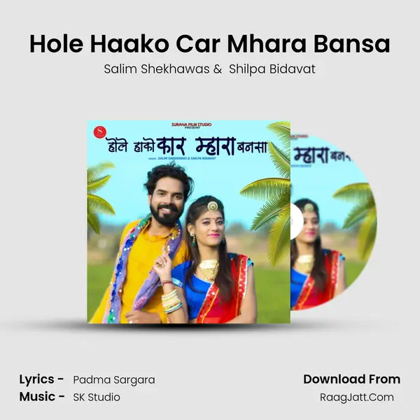 Hole Haako Car Mhara Bansa - Salim Shekhawas