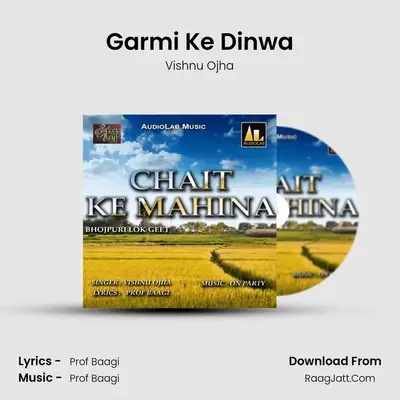 Garmi Ke Dinwa Cover