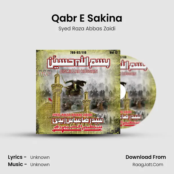 Qabr E Sakina MP3 Song by Syed Raza Abbas Zaidi Cover