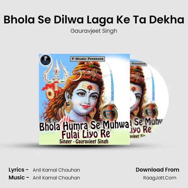 Bhola Se Dilwa Laga Ke Ta Dekha mp3 song