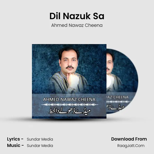 Dil Nazuk Sa MP3 Song by Ahmed Nawaz Cheena Cover