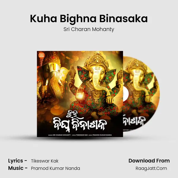Kuha Bighna Binasaka mp3 song